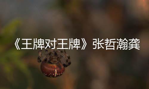 对王第几张哲瀚在哪张哲瀚龚牌对牌王王牌王牌期有俊龚俊一期