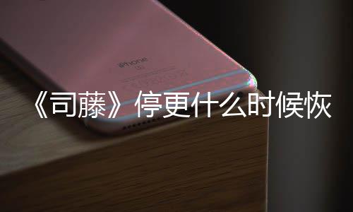 大藤停更播出恢复司什么时候时间结局揭秘更新