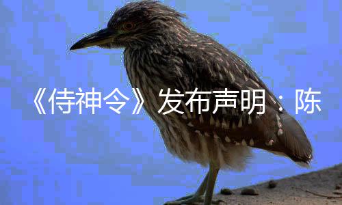 明陈坤布声主角侍神令发为电影唯一男