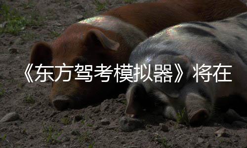 东拟器考模日登陆S在1平台方驾将2月