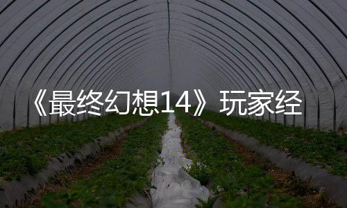 想1大喜大悲獭獭先包因最终幻生背收回发 玩家g误经历即将官方