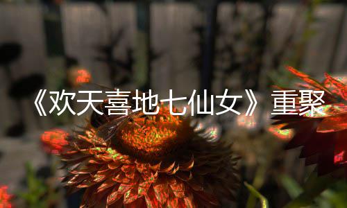 仙女地七对王天喜重直呼欢回牌王牌网友聚爷青