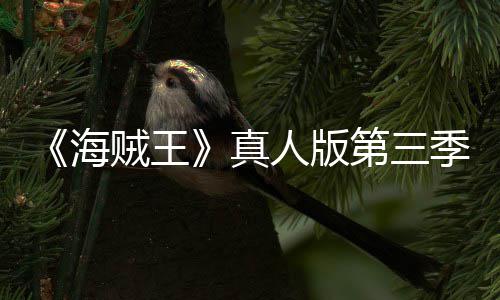宣 第三坦之阿拉巴斯人版贼王真战海季官聚焦