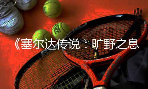 尔达息星方传说旷快速塞刷流法野之