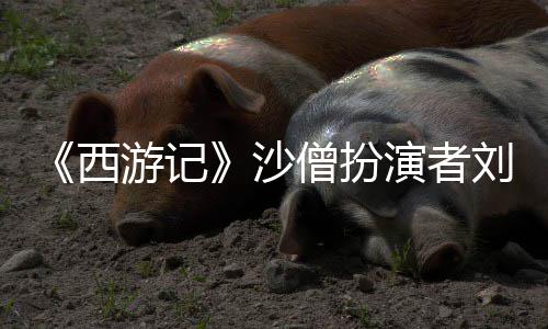 西享年刘大沙僧扮世 岁刚去游记演者