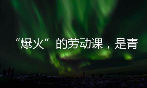 的劳动课对话爆热烈火会的，是青年与社