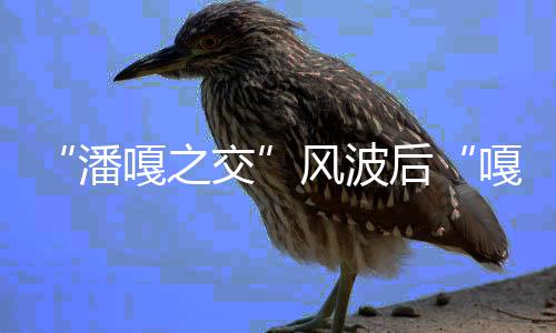 谢带货孟伟直播再被后潘风波封交嘎之嘎子