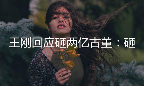 董的 持宝人败砸两砸的回应是假诉了王刚亿古
