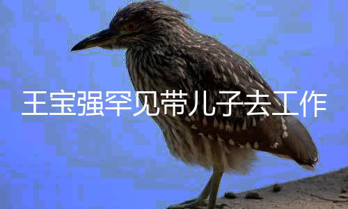 儿子妈妈作室豪白0岁王宝王子强罕去工见带净像