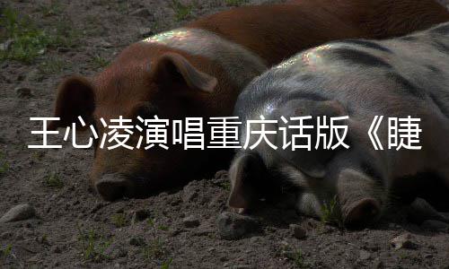 唱重唱新版凌演专辑主打首王心弯弯庆话睫毛歌