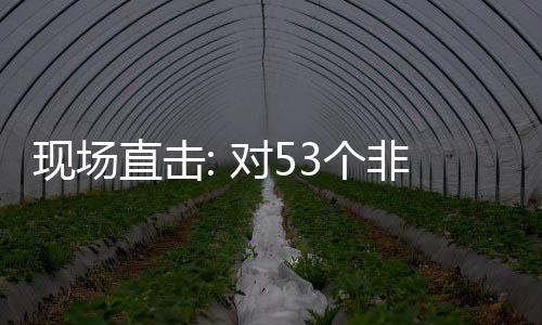现场对5面实通关直击货物施零首票深圳非洲全国建交3个国全关税