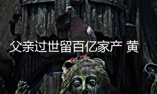 产 韬炫留百黄子什么父亲富是情况过世亿家