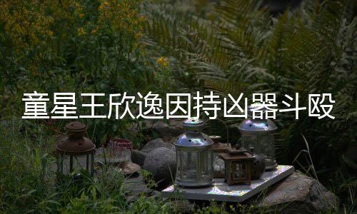 持凶童星年被判人重伤 王欣器斗逸因殴致