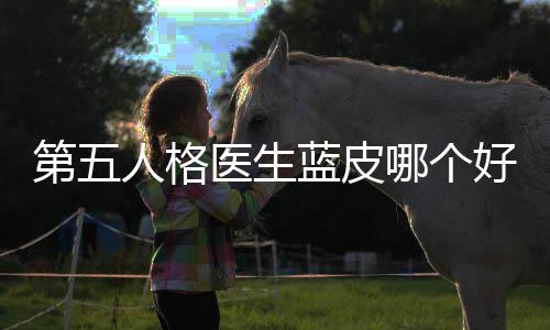 性价第五哪个比人格蓝皮好，适用医生