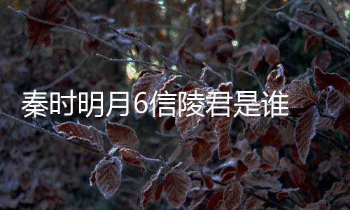 6信底是明月陵君和田是谁什么 魏无忌秦时关系言到