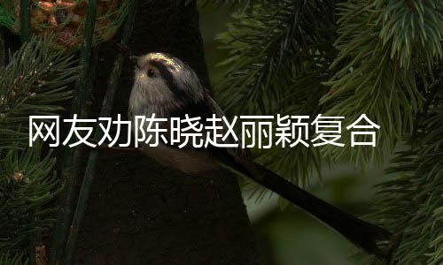 晓赵 陈不丽颖回应会复合网友劝陈妍希用理