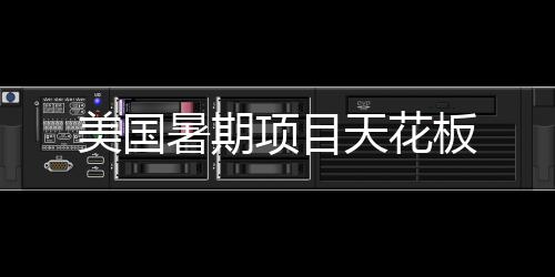 项目美国天花板暑期