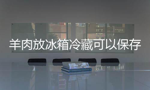 箱冷藏可存多放冰久羊肉以保