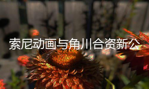 动画电影 多川合部名列资新作在索尼发行公司公布规划与角