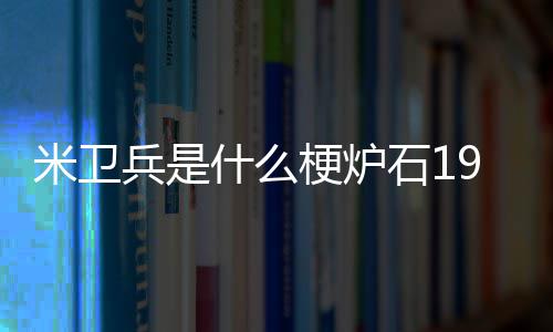 米卫兵是什么石1梗炉
