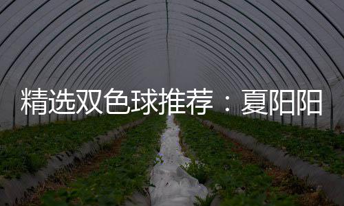 夏阳衔三大专等2中2双色万球推精选荐家同阳领