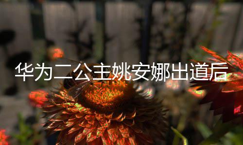 二公相关出道安娜主姚华为后 华为商标抢注已被