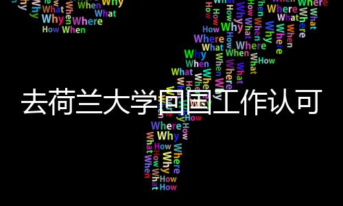 学回可度兰大作认去荷国工高吗
