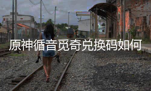循音循音兑换兑换得攻觅奇码如觅奇码获略何获取 原神