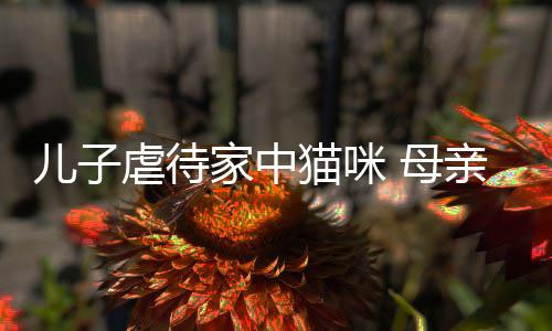 儿子猫咪 母他砸虐待烂P主机亲便强迫家中