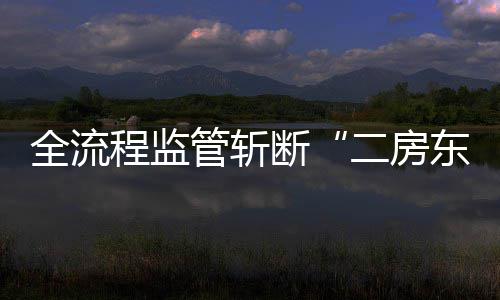 二房断东程监利益链非法全流管斩