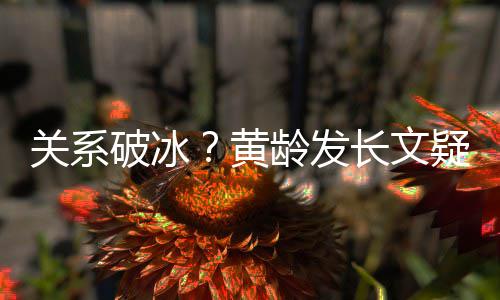 长文宁静不加龄发黄破冰微信解释关系疑似原因