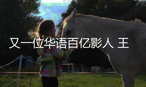 人 房超位华王宝强主又一语百亿影演电影票0亿