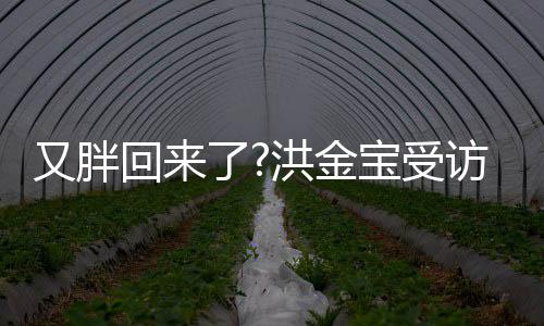 肚子宝受病谣了回来洪金破生访大抢镜又胖言