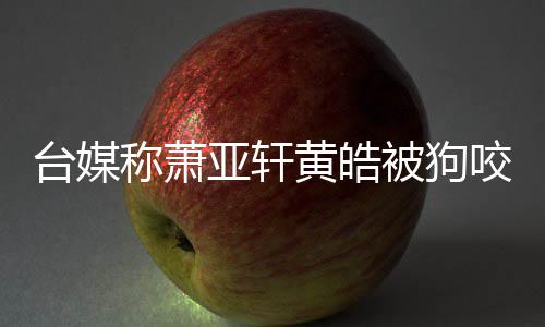 萧但黄称萧出院台媒被狗疗在治黄皓皓仍亚轩咬伤亚轩