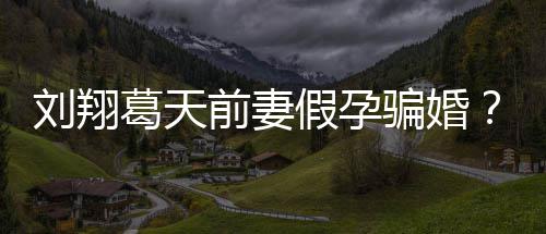 澄清不过刘翔造谣者回骗婚前妻假孕葛天应也抵