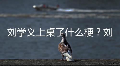 电视哪些刘学刘学桌了什么剧有梗义上义主演的