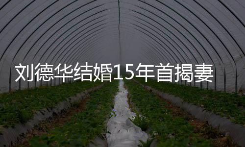 5年刘德丽蒨真名 朱资料华结婚1首揭妻子简介个人