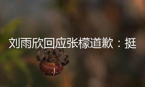 欣回檬道挺好扰 刘雨张檬之间和刘什么事情发生 勿歉应张雨欣