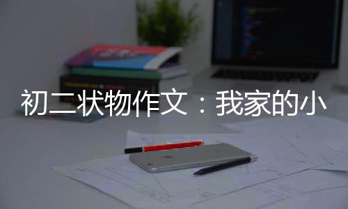 小龟初二状物作文我家的