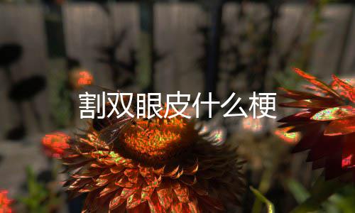 什么割双梗眼皮