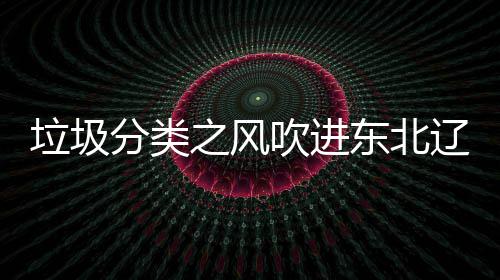 东北吹进垃圾辽宁类垃之风沈阳四分分类启用圾桶