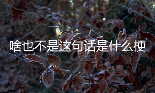 不是这句话是啥也什么梗