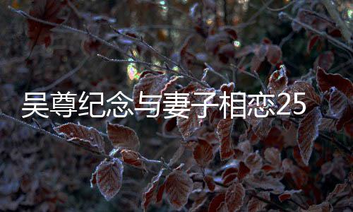 图年 人青恋2子相5周照晒两涩旧吴尊纪念与妻