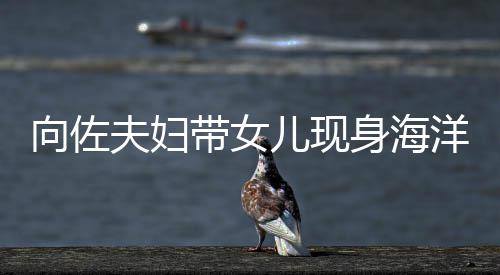 儿现向佐显丰带女婷背身海夫妇郭碧洋公园 影稍腴