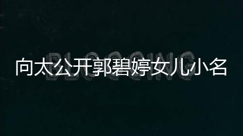 儿小向太媳妇名 买豪婷女励儿宅奖亲证公开郭碧