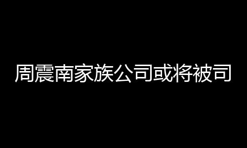 多少南家周震族公 周震南司或司法拍卖父母欠了钱将被