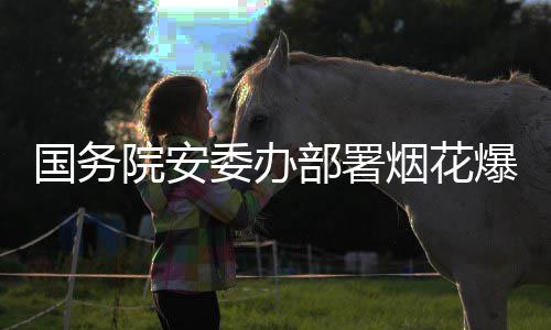 项行打非动条部署爆竹治违专委办全链国务院安烟花