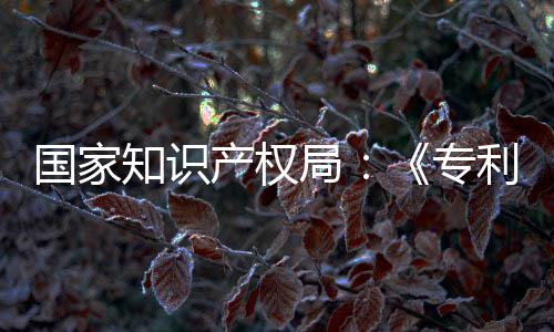 产权查指查南能伦利审理审知识专专门章节设立强人局 加国家工智