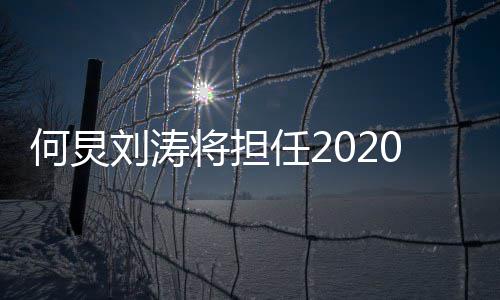 持人0年任2刘涛何炅会主将担金鹰节颁奖晚