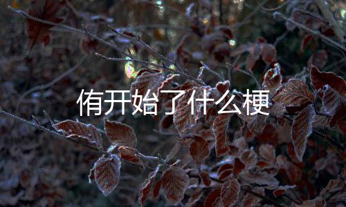 始了什么梗侑开